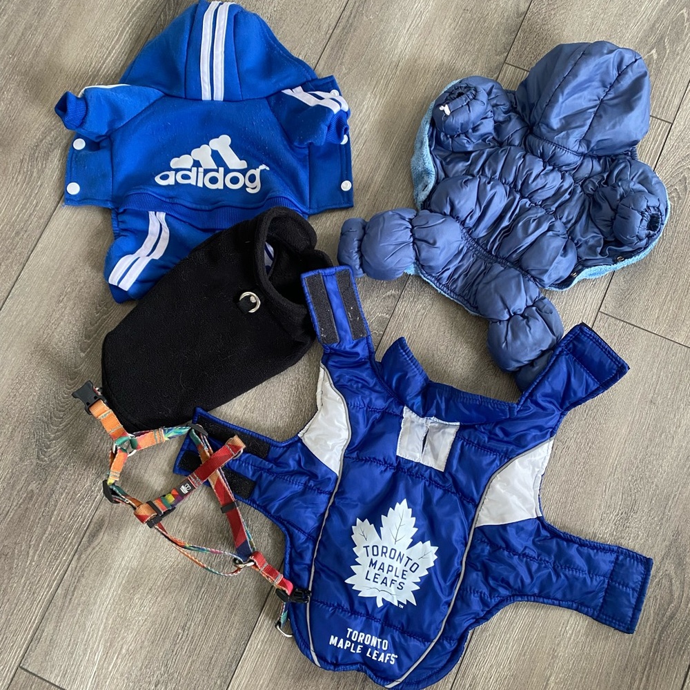 Dog coats & sweaters (+ 1 harness) - can be separate or bundle (S/XS)